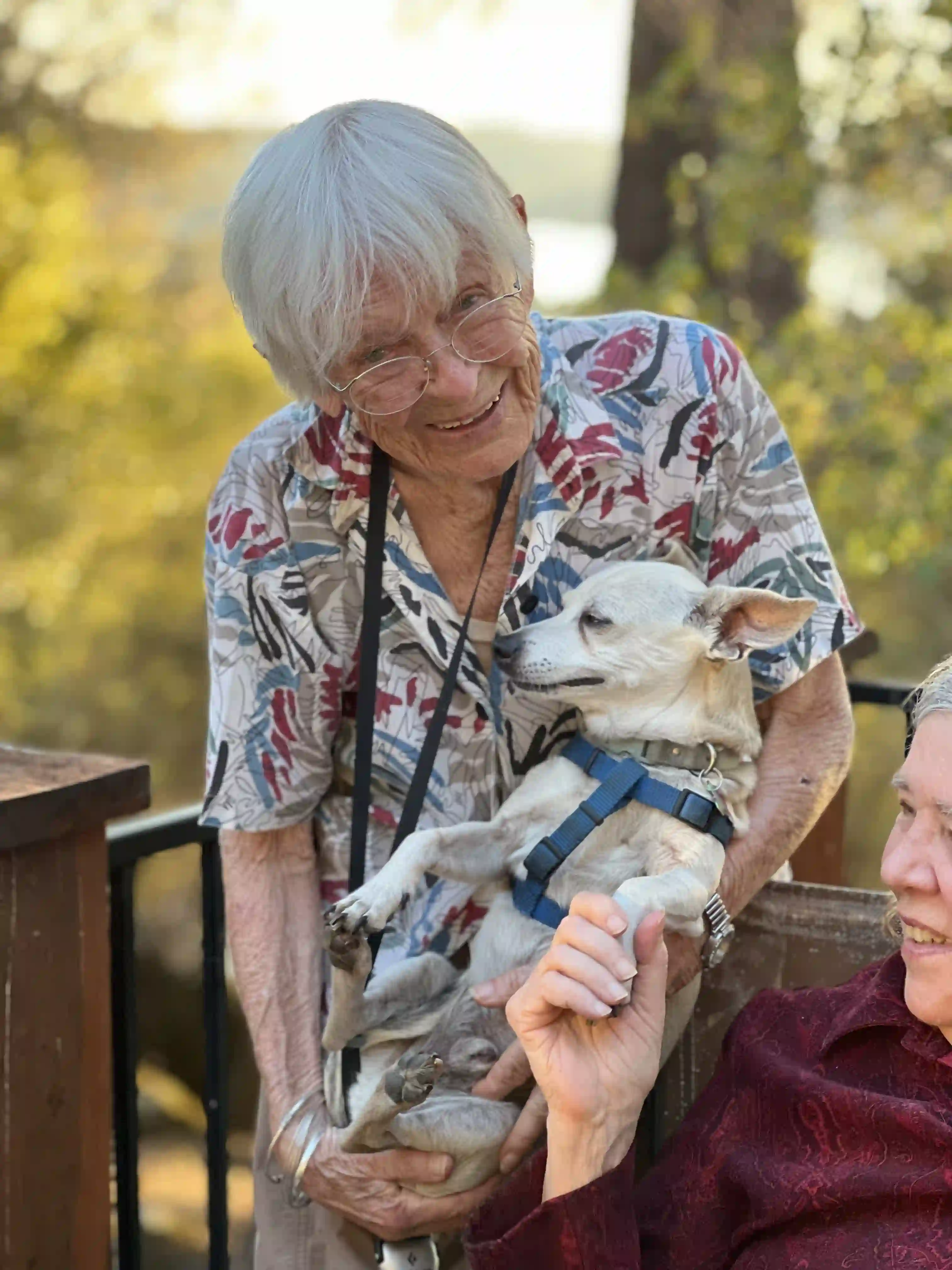 Elderly Outings #3 Elderly Outings #3