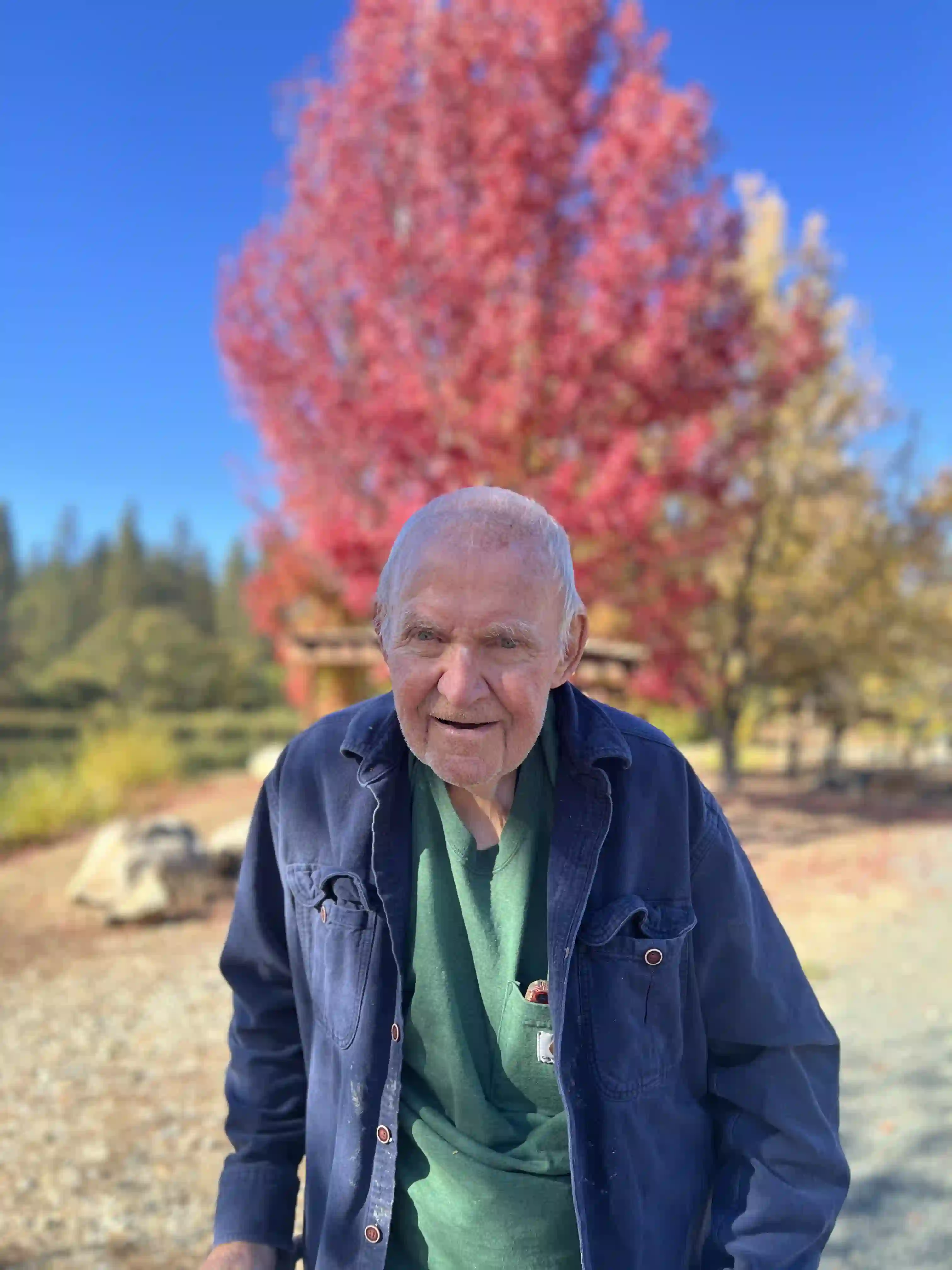 Residential construction 8 2. Residential construction 8 2.